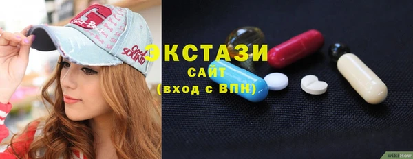 индика Бородино
