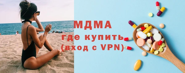 индика Бородино
