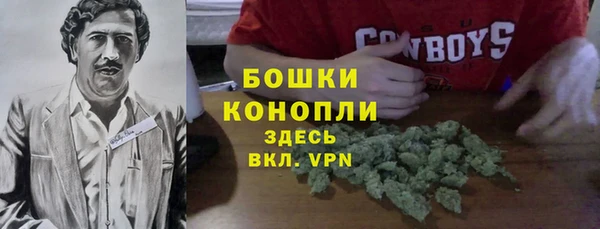 индика Бородино