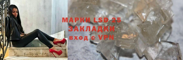 индика Бородино