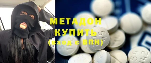 индика Бородино