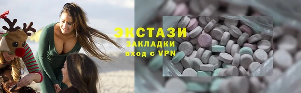 индика Бородино