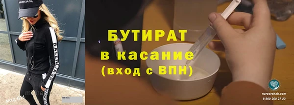 индика Бородино