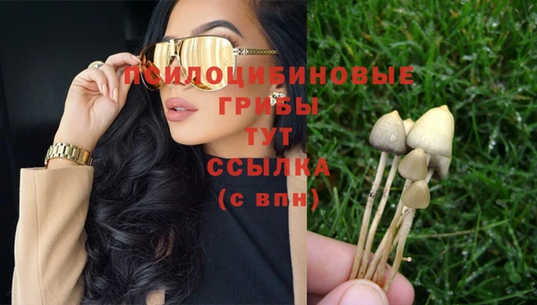 винт Бугульма