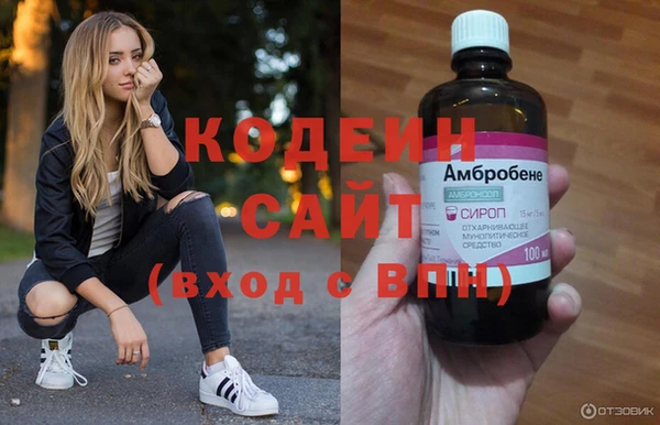 индика Бородино