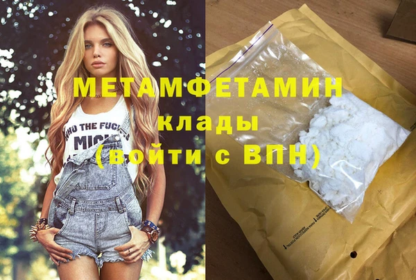 индика Бородино