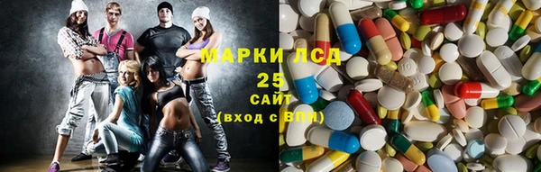 индика Бородино