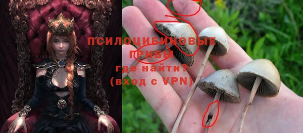 индика Бородино
