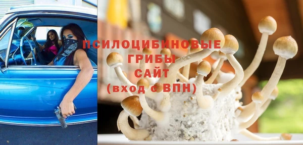 винт Бугульма
