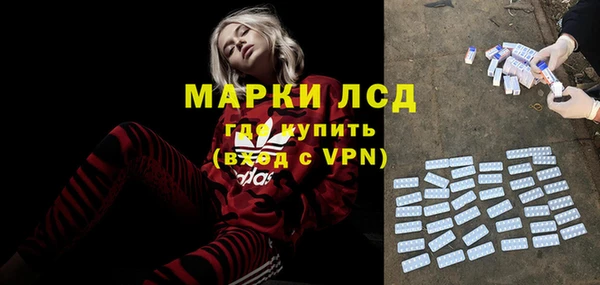 индика Бородино