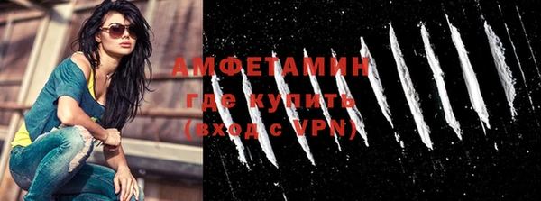 индика Бородино