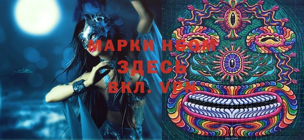 индика Бородино