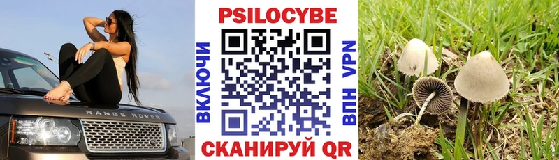 наркота Юхнов Галлюциногенные грибы мицелий